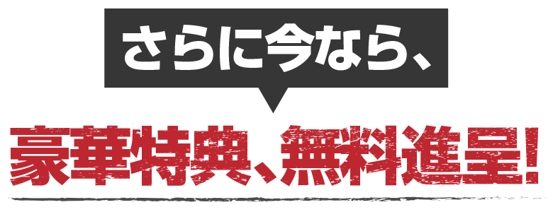 さらに今なら、豪華特典、無料進呈！